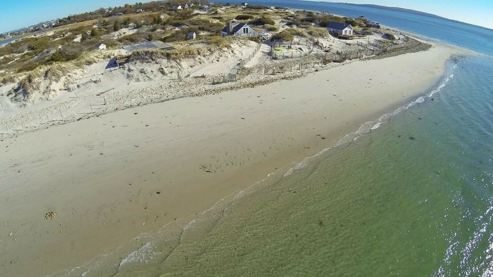 Aerial view of the beach and shoreline